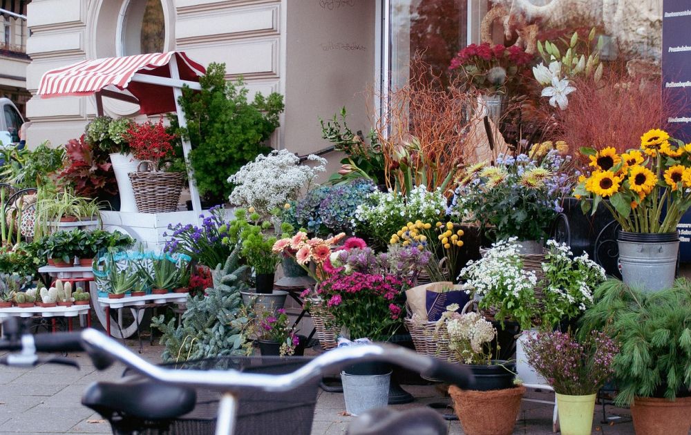 Oppdag blomsterbutikker i Oslo